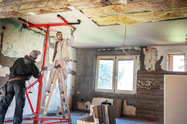 Best Insulation for Specific Applications in Eatonville, FL