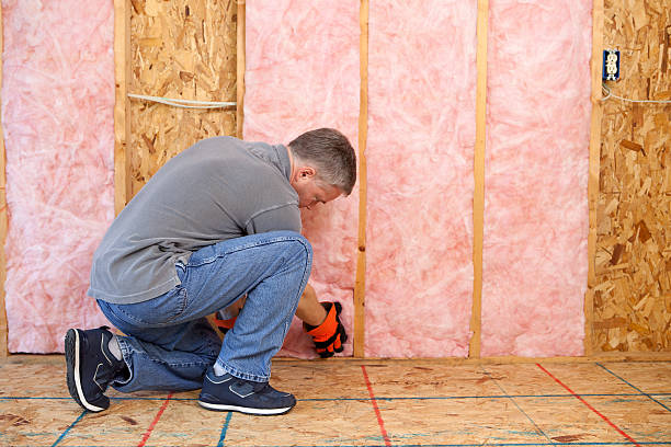 Best Residential Insulation in Eatonville, FL